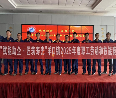 技能精英崭露头角 2025默夙集团技能比武大赛--电工技能比赛